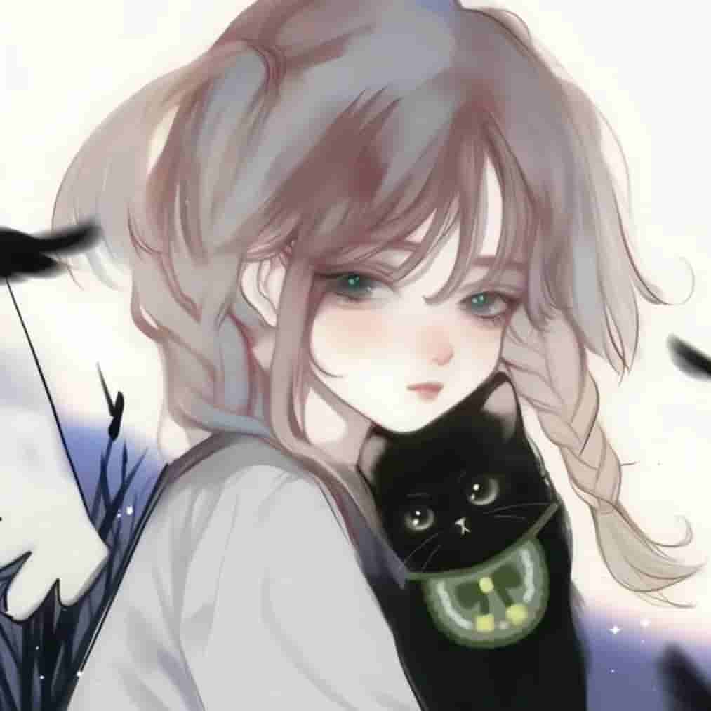 11月02日免费节点整理 | 49条SSR/V2Ray/Clash订阅链接合集