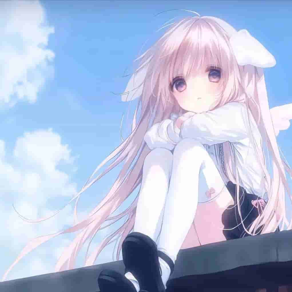 12月13日更新：最新33个免费节点分享 | 含SSR/V2Ray/Clash订阅链接