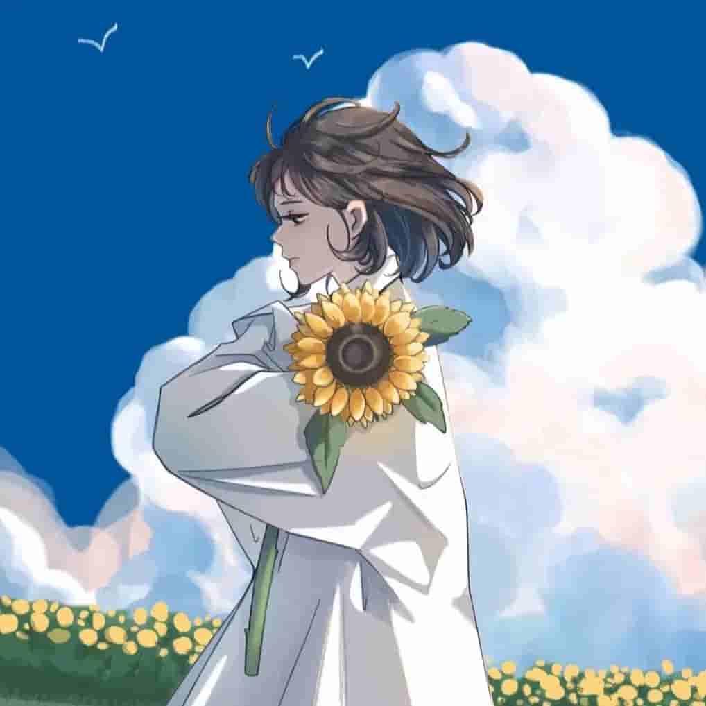 02月18日更新：最新31个免费节点分享 | 含SSR/V2Ray/Clash订阅链接