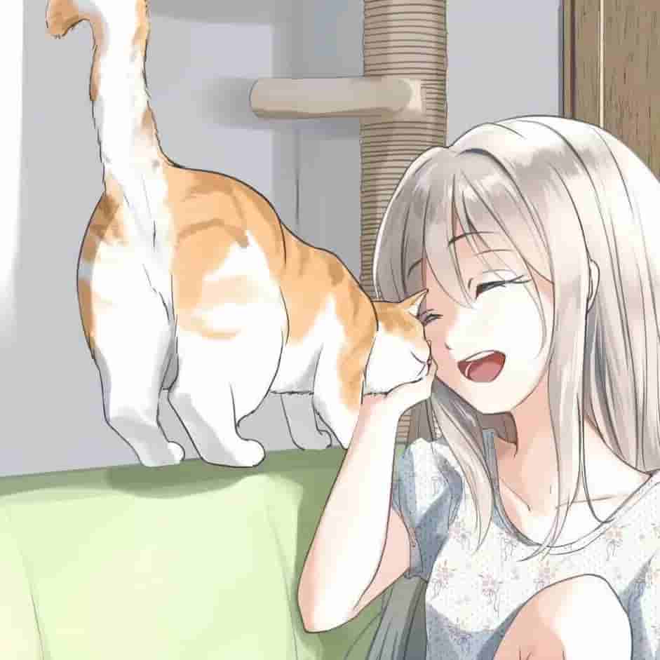 【2026年03月10日】48条SSR/V2Ray/Clash免费节点更新 | 高速稳定最高2.03M/S